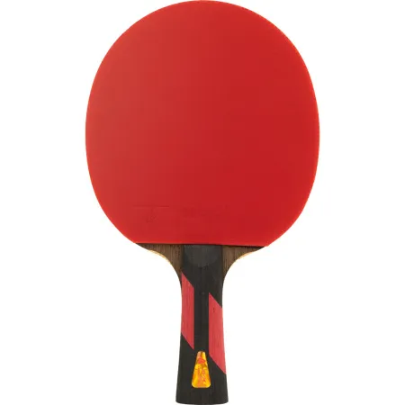 Ракетка для н/т DOUBLE FISH 7A+C, для професс.,ITTF Appr.,накл.2,1мм,+ 2 мяча V40+мм ITTF Appr за 3&nbsp;559.80 ₽ купить в Белгороде