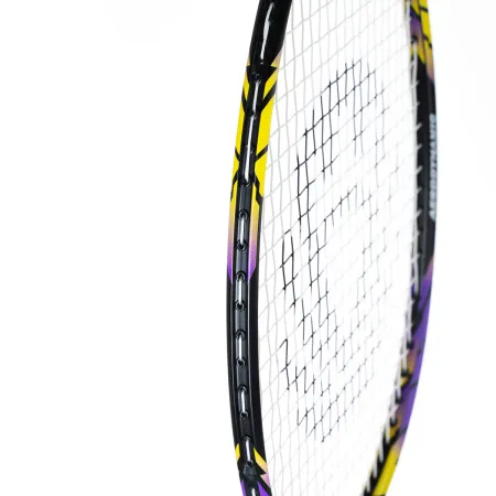 Ракетка бадм. TORRES Carbon PRO6, BD20521,для продв., стерж/обод из карбона,со струнами, фиол за 4&nbsp;477.80 ₽ купить в Белгороде