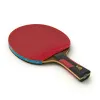 Ракетка для н/т DOUBLE FISH 7A+C, для професс.,ITTF Appr.,накл.2,1мм,+ 2 мяча V40+мм ITTF Appr за 3&nbsp;559.80 ₽ купить в Белгороде