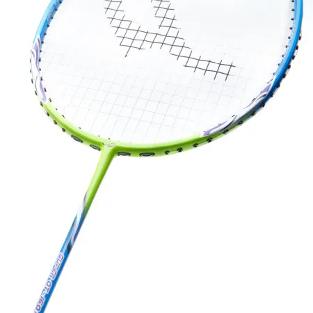 Ракетка для бадм. DOUBLE FISH JINQUE QT-1601, для продвинутых,карбон со струнами,литая,голубой за 3&nbsp;015.80 ₽ купить в Белгороде