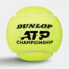 Мяч теннисный Dunlop ATP Championship 4B, 601627, уп.4ш, одобр. ITF, нат.резина,фетр. за 1&nbsp;242.70 ₽ купить в Белгороде