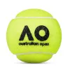 Мяч теннисный Dunlop Australian Open, 601601, уп..3 шт, одобр.ITF,фетр,нат.резина, желтый за 1&nbsp;171.30 ₽ купить в Белгороде