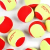Мяч теннисный детский NS Red, 5021009, уп.12 шт, резина, шерть, нейлон, желто-красный за 2&nbsp;941 ₽ купить в Белгороде