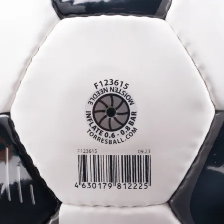 Мяч футб. Classic, F123615, р.5, 32 панели. PVC, 4 подкл. слоя, ручная сшивка, бело-черный за 1&nbsp;385.50 ₽ купить в Белгороде