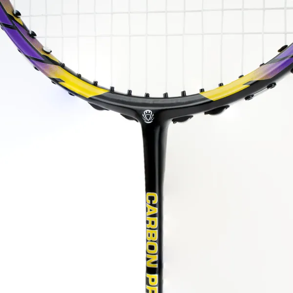 Ракетка бадм. TORRES Carbon PRO6, BD20521,для продв., стерж/обод из карбона,со струнами, фиол за 4&nbsp;477.80 ₽ в Белгороде